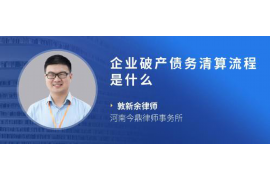 承德为什么选择专业追讨公司来处理您的债务纠纷？